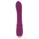 Vibrator 2 Function Vibrator JAVIDA